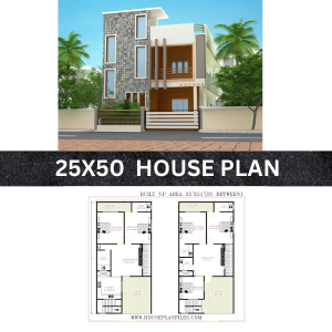 25 50 house plan