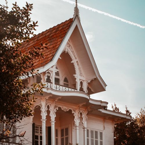 pexels-gül-işık-2194399